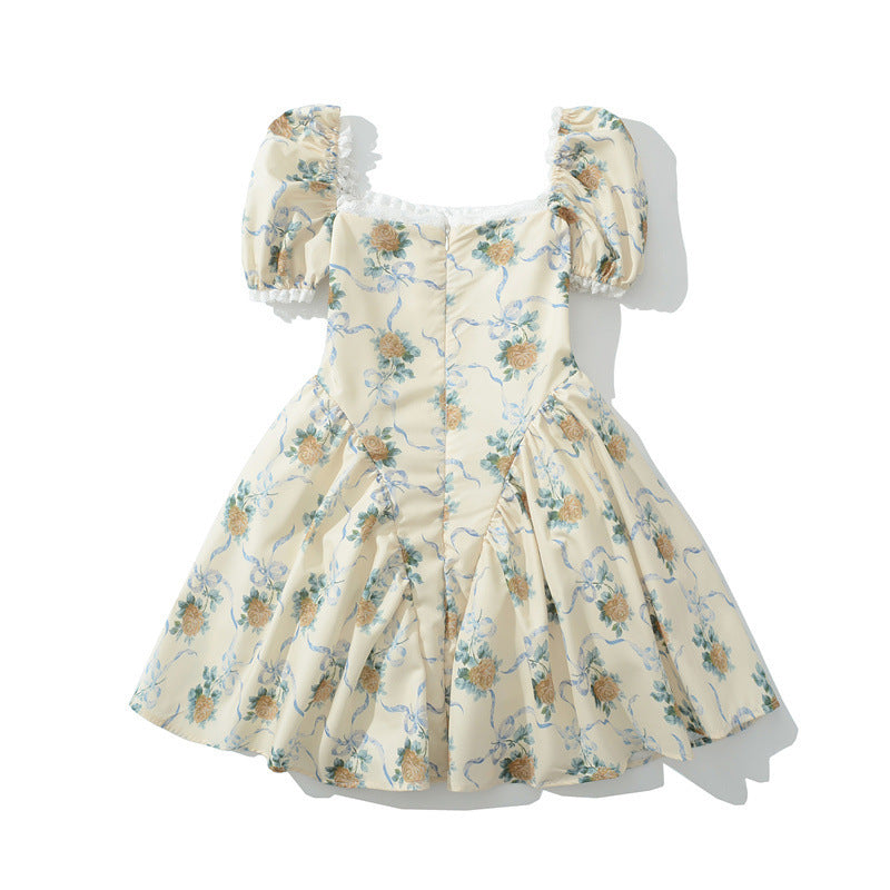 Printed Mesh Lace Dress